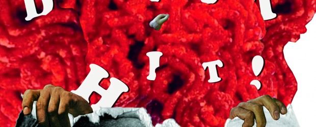 Review: Direct Hit! “Domesplitter” (2011)