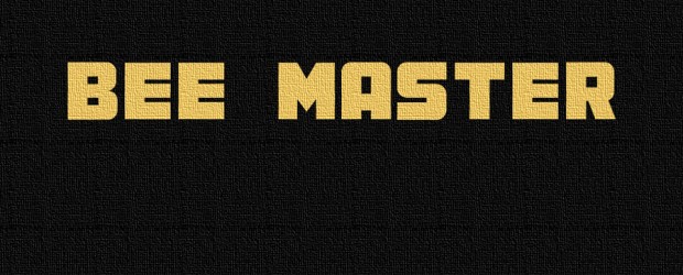 Bee Master (members of Same Sex Mary, Mercy Music, Kitze and the CPUs) play debut show tonight