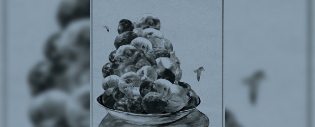 Review: Hop Along ‘Painted Shut’ (2015)