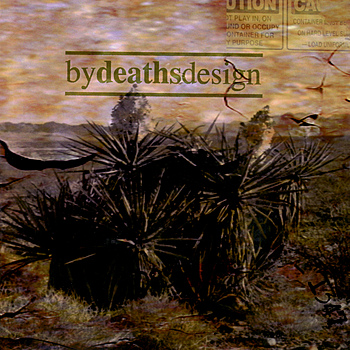 Dont+Test+the+Universe